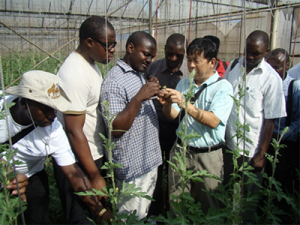 خبير من الأكاديمية الصينية لعلوم الزراعة الاستوائية يقوم بتدريب الطلاب المحليين في مركز عرض التكنولوجيا الزراعية في الكونغو برازافيل